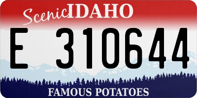 ID license plate E310644