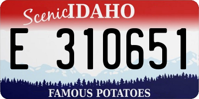 ID license plate E310651