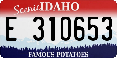 ID license plate E310653
