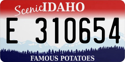 ID license plate E310654
