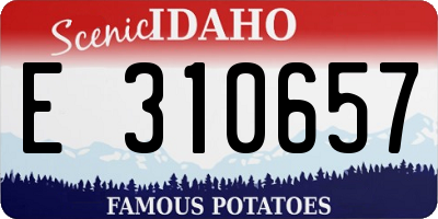 ID license plate E310657