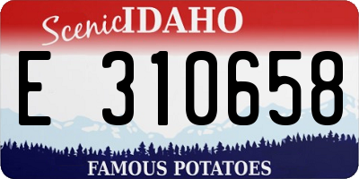 ID license plate E310658
