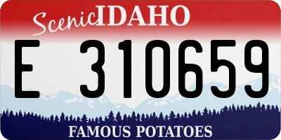 ID license plate E310659