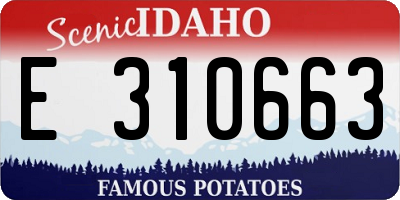 ID license plate E310663