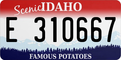 ID license plate E310667