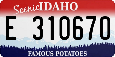 ID license plate E310670