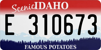 ID license plate E310673