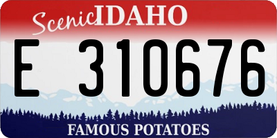 ID license plate E310676