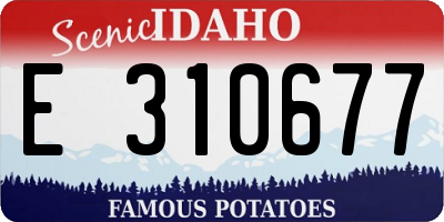 ID license plate E310677