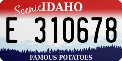 ID license plate E310678