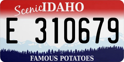 ID license plate E310679