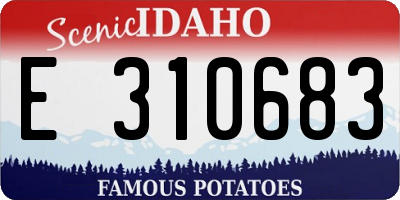 ID license plate E310683