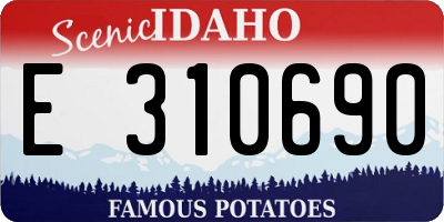 ID license plate E310690
