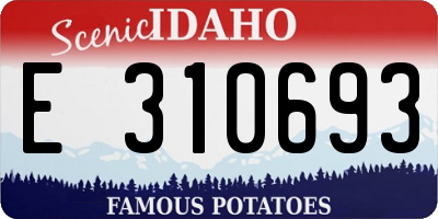ID license plate E310693