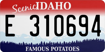 ID license plate E310694