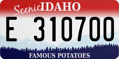 ID license plate E310700