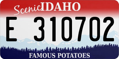 ID license plate E310702