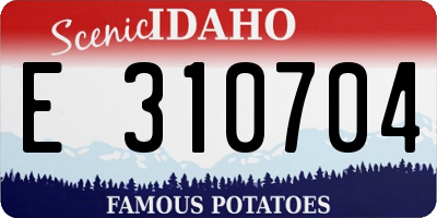 ID license plate E310704