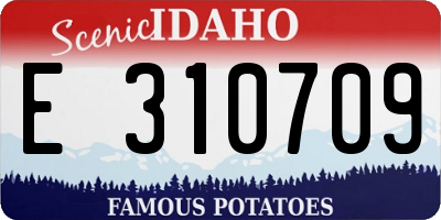 ID license plate E310709