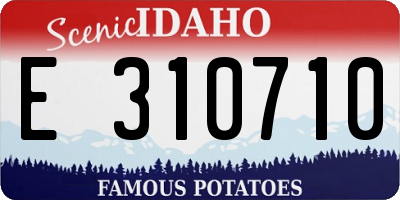 ID license plate E310710