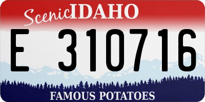 ID license plate E310716