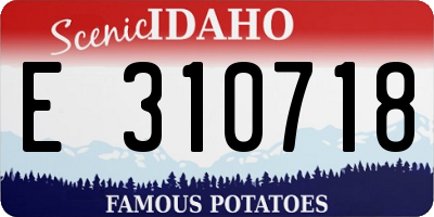ID license plate E310718