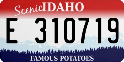 ID license plate E310719