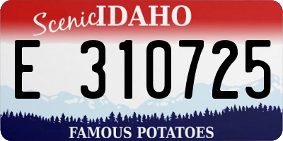 ID license plate E310725