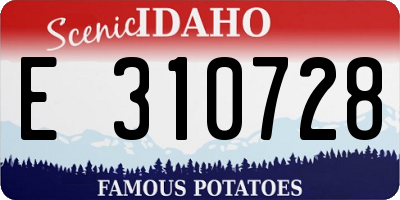 ID license plate E310728