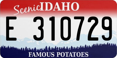 ID license plate E310729