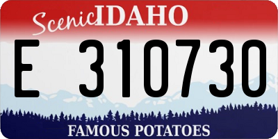 ID license plate E310730