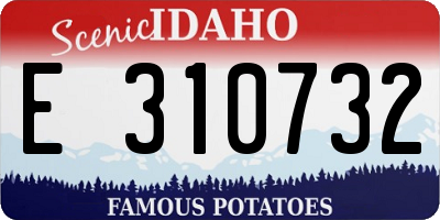 ID license plate E310732