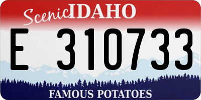 ID license plate E310733