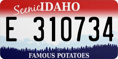 ID license plate E310734
