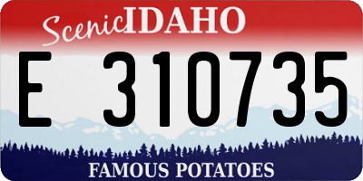 ID license plate E310735