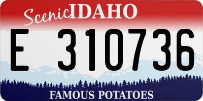 ID license plate E310736