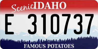ID license plate E310737