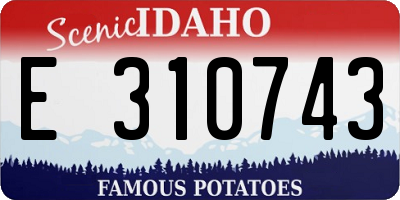 ID license plate E310743