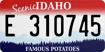 ID license plate E310745