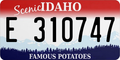 ID license plate E310747