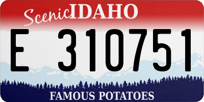 ID license plate E310751
