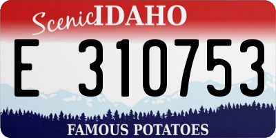 ID license plate E310753