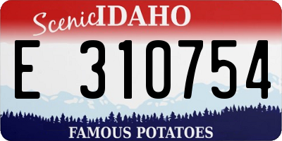 ID license plate E310754
