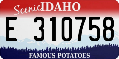 ID license plate E310758