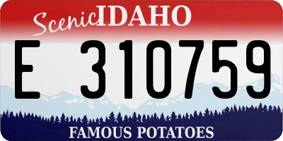 ID license plate E310759
