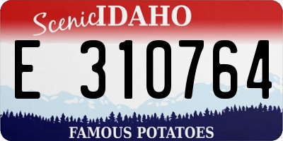 ID license plate E310764