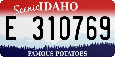 ID license plate E310769