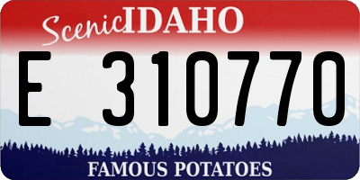 ID license plate E310770