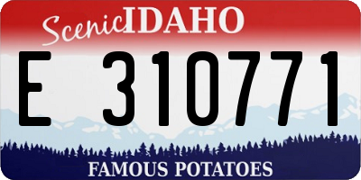 ID license plate E310771