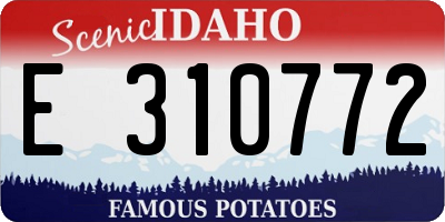 ID license plate E310772